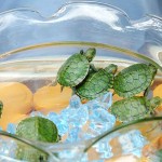 Những bảo bối phong thủy mang lại tài lộc, may mắn