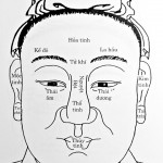 Cách xem tướng số qua khuôn mặt