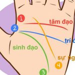 Xem tướng số qua đường chỉ tay