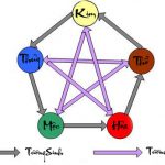 Xem bói tìm người tuổi tam hợp, hợp tác kinh doanh theo tuổi