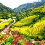 Tết âm lịch 2020 đi chơi ở đâu và làm gì?