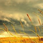 Mơ thấy gió có điềm báo gì?