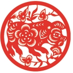 Tử vi năm 2020 tuổi Tân Hợi 1971 nữ mạng