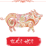 Xem tử vi cho người tuổi Hợi năm 2019