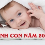 Sinh con năm 2020 thuộc mệnh gì? Cầm tinh con gì?