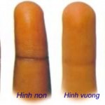 Cách xem tướng đoán tính cách con người qua hình dạng ngón tay
