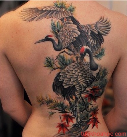 Tadashi Tattoo  Hình xăm Tùng Hạc Crane tattoo TATTOO BY TADASHI web  tattoovncom  wwwtadashitattoovn  Facebook