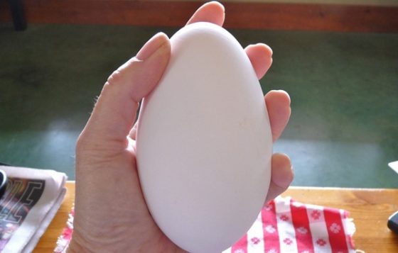 Mơ thấy trứng ngỗng