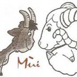 Phong thủy nữ Kỷ Mùi