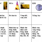 Cách bố trí phong thủy sân vườn