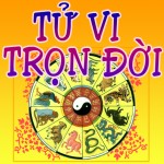 Xem bói tử vi trọn đời 12 con giáp