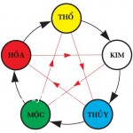 Vận dụng triết lý ngũ hành trong cuộc sống