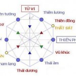 Giải nghĩa sao Thái dương trong lá số Tử vi