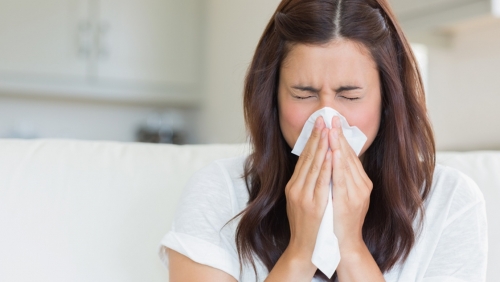 Giải mã ý nghĩa hiện tượng hắt xì hơi