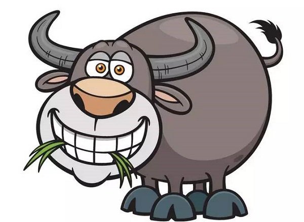 Tuổi Sửu hợp với nghề gì