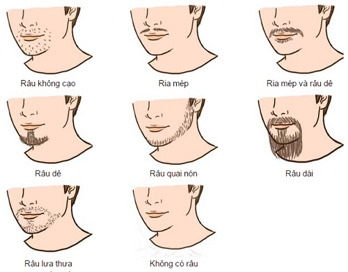 Xem tướng râu