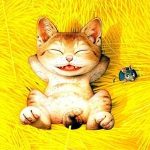 Tử vi 2018 tuổi Kỷ Mão nam mạng
