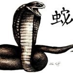Tử vi 2018 tuổi Kỷ Tỵ nữ mạng