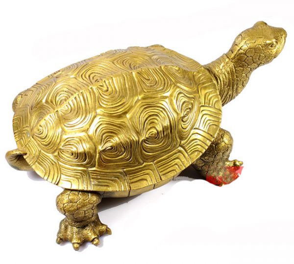 Rùa tăng thêm cơ hội thu nhập