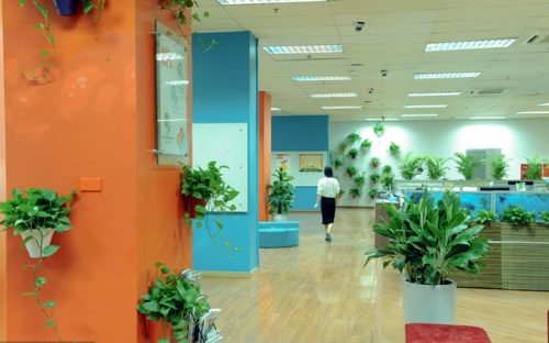 Tăng cường cây xanh cho văn phòng làm việc của bạn để tạo cảm giác thoải mái khi làm việc