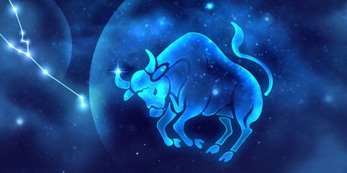 Năm nay kim ngưu hãy tập trung vạch ra cho mình những mục tiêu và hoàn thành nó (ảnh minh họa)