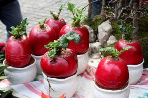 Củ cải đỏ mang lại may mắn, rước tài lộc vào nhà