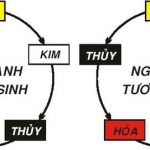 Hướng dẫn chọn màu sắc chăn ga hợp Mệnh năm 2018
