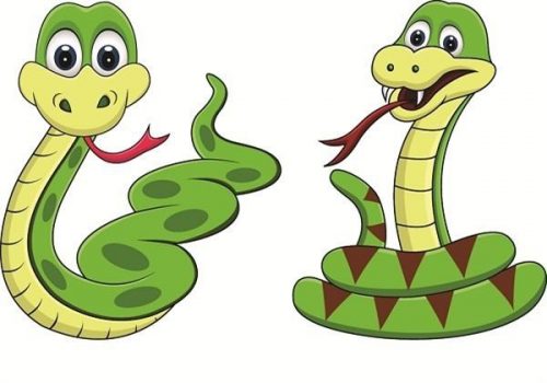 Năm nay gia chủ tuổi Tỵ sẽ có màu ghi, xanh lá và hồng đem lại may mắn (ảnh minh họa)