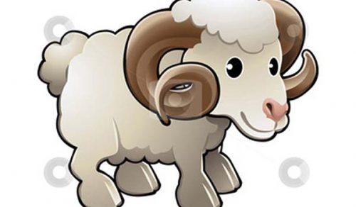 Năm nay màu tím, bạc và cam sẽ là màu sắc mang lại cho gia chủ tuổi Mùi nhiều may mắn (ảnh minh họa)
