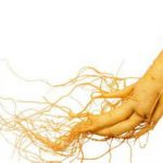 Những gợi ý hay cho món quà Tết 2019 Kỷ Hợi