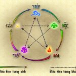 Phong thủy phòng làm việc cho người tuổi Nhâm Thìn 1952