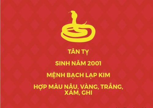 Màu sắc hợp phong thủy tuổi Tân Tỵ 2001 (ảnh minh họa)