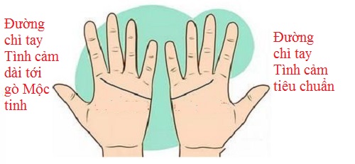 Đường chỉ tay của nữ tiêu chuẩn, nam dài tới gò Mộc tinh (ảnh minh hoạ).