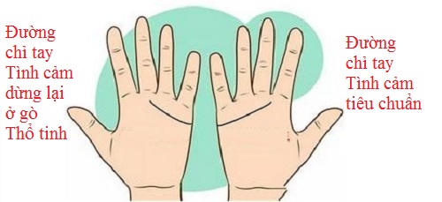 Đường chỉ tay nữ tiêu chuẩn, nam dừng ở gò Thổ tinh (ảnh minh họa).