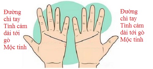 Nếu hai bạn đối chiếu đường chỉ tay tình cảm mà đều dài như nhau. Điều đó có nghĩa hai bạn đều là người cố chấp, không ai chịu nhường nhịn nhau (ảnh minh họa).