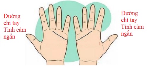 Nếu hai bạn đều có đường chỉ tay tình cảm rất ngắn, nghĩa là dừng lại ở gò Thổ tinh. Hai bạn sẽ khó giữ được tình cảm lâu dài (ảnh minh họa).