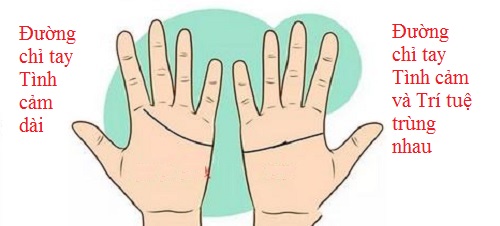 Đường chỉ tay tình cảm của nam dài, nữ trùng với đường trí tuệ (ảnh minh họa).