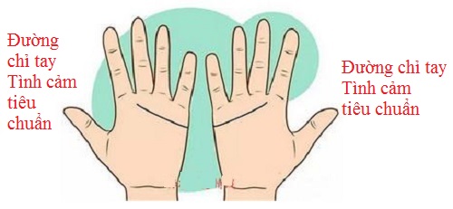 Nếu hai bạn có đường chỉ tay tình cảm tiêu chuẩn. Điều đó có nghĩa là trong tình yêu hai bạn rất hiểu và thông cảm cho nhau. Chắn sẽ có cuộc sống hôn nhân hạnh phúc viên mãn bên nhau.