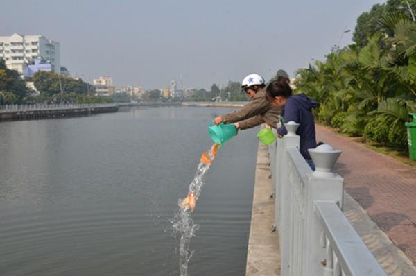 Tránh thả cá từ trên cao xuống
