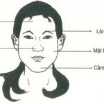 Những đặc điểm xấu trên gương mặt phụ nữ