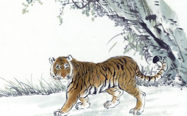 Tuổi Dần