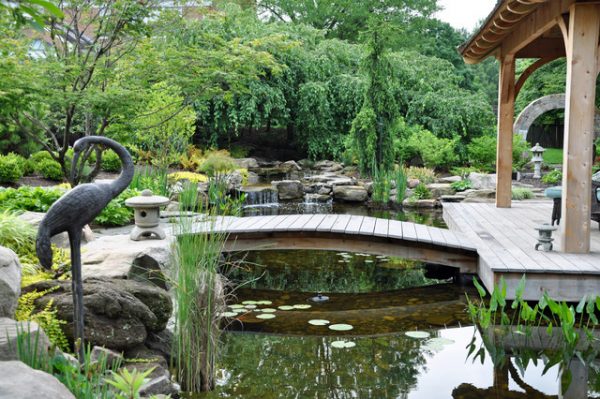 Điều cần tránh khi bố trí ao hồ