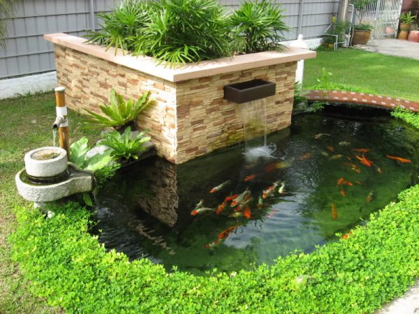 Hình dáng ao, hồ tốt