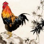 Tử vi năm 2019 tuổi Tân Dậu 1981 nam mạng
