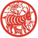 Tử vi năm 2019 tuổi Tân Mùi 1991 nữ mạng