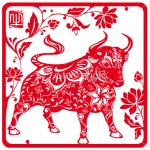 Tử vi năm 2019 tuổi Tân Sửu 1961 nam mạng